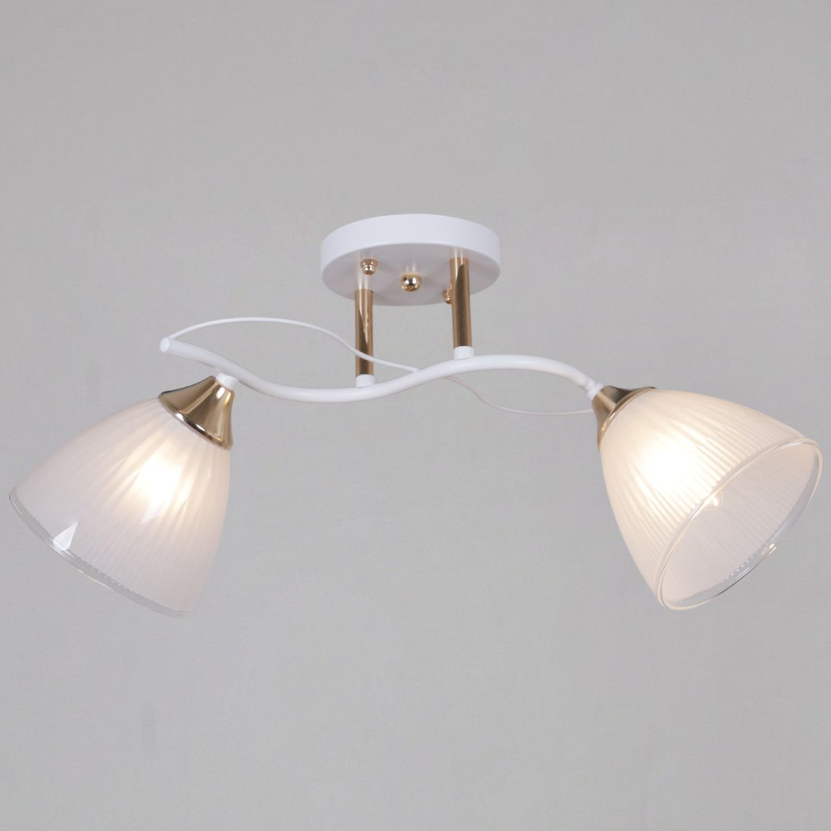 64460-0.3-02 WH+FG светильник потолочный