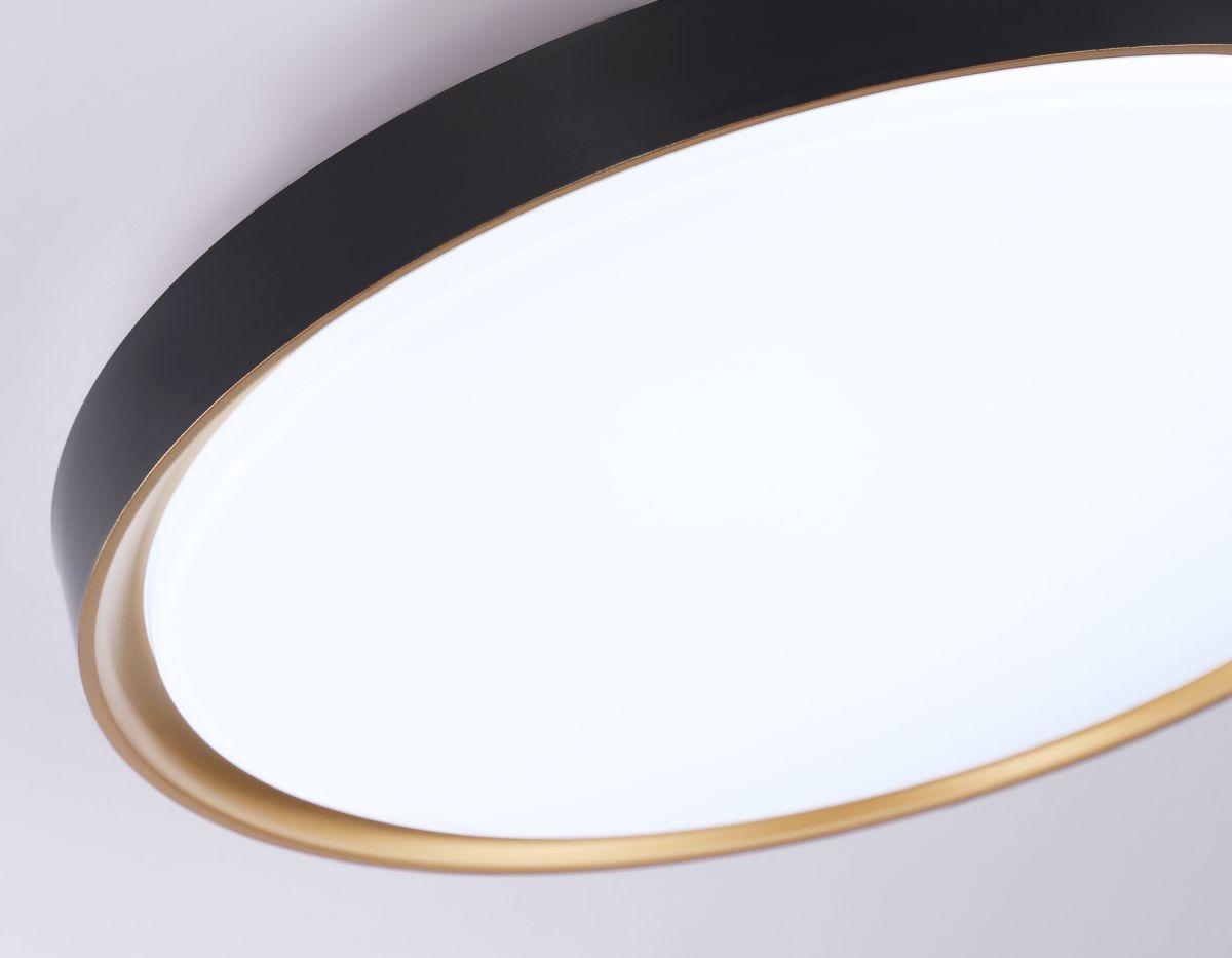 Потолочный светодиодный светильник FZ1249 BK/GD черный/золото IP54 45W 5000K D480*60 (Без ПДУ)