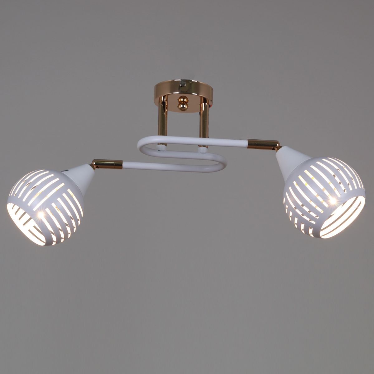 70059-3.3-02 FG+WH светильник потолочный