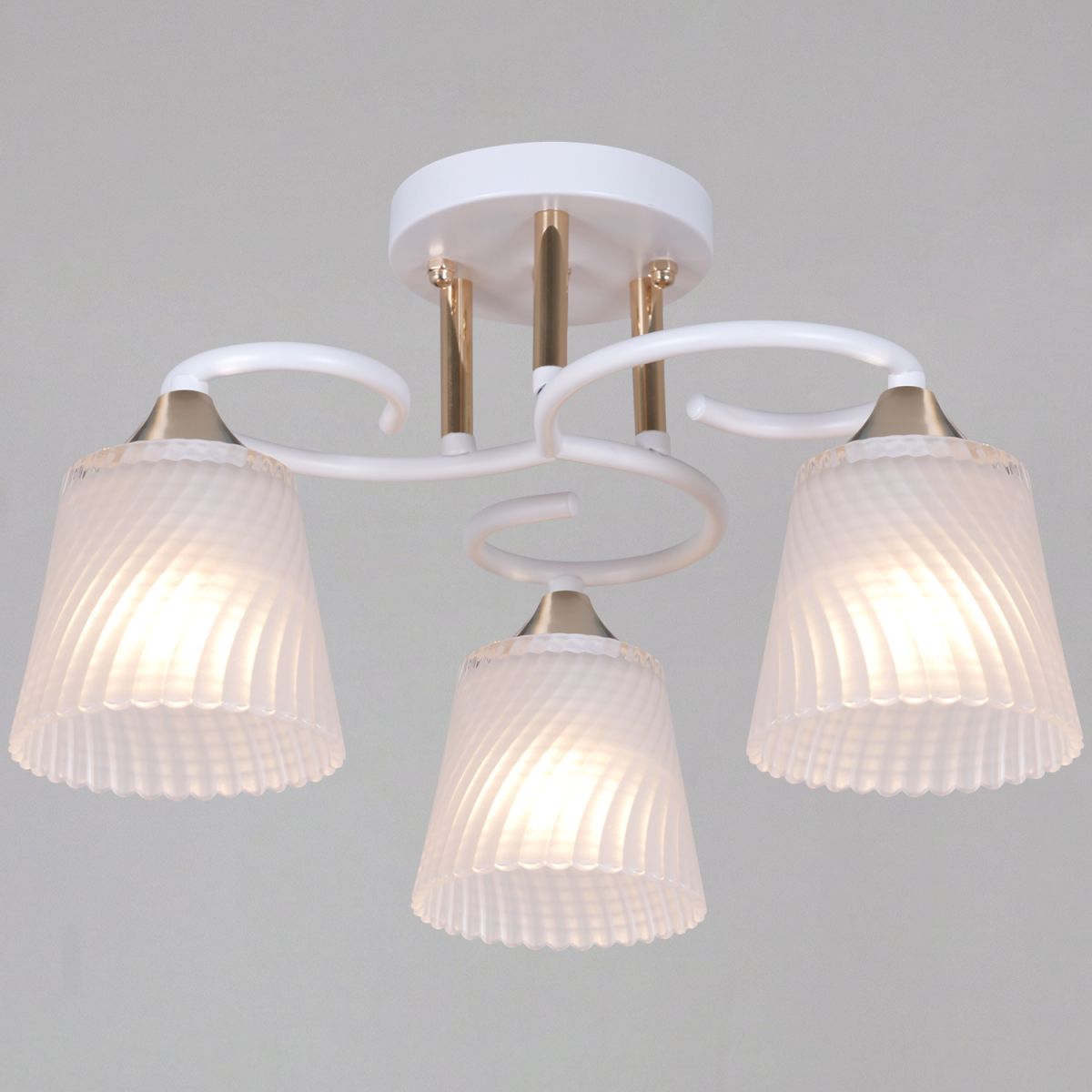 06360-0.3-03 WH+FG светильник потолочный