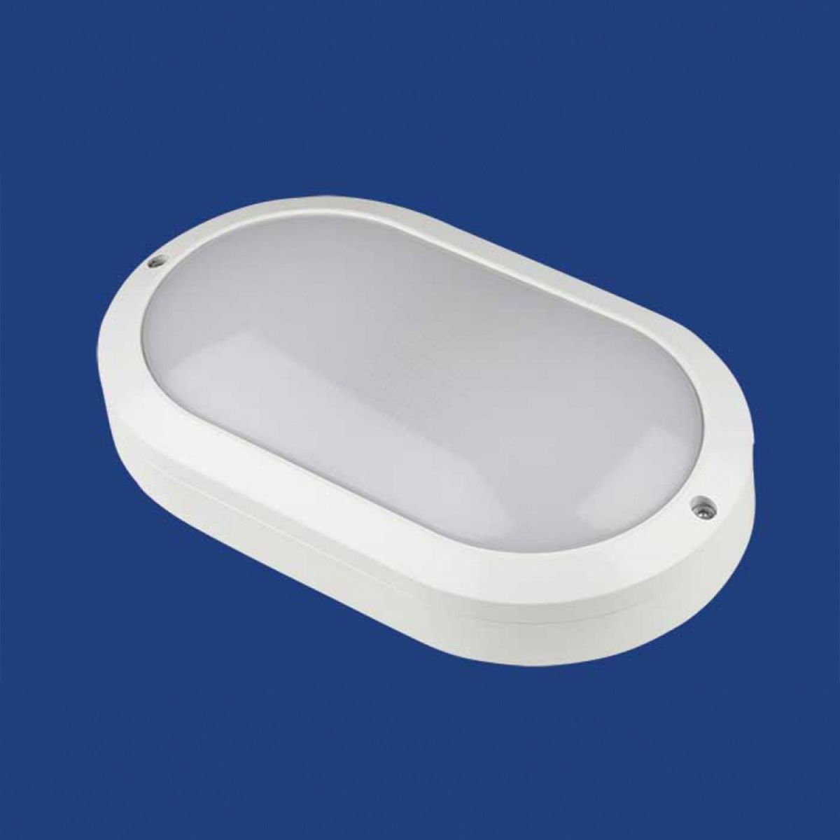 ULW-K14A 20W/5000K IP65 WHITE Светильник светодиодный влагозащищенный. Овал. Белый свет (5000K). 240