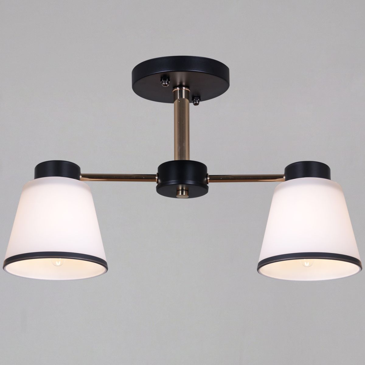 30560-0.3-02 BK+FG светильник потолочный