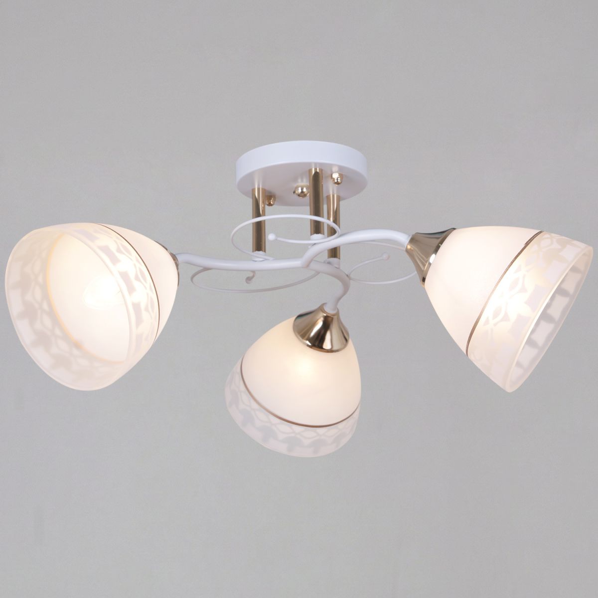 11460-0.3-03 WH+FG светильник потолочный