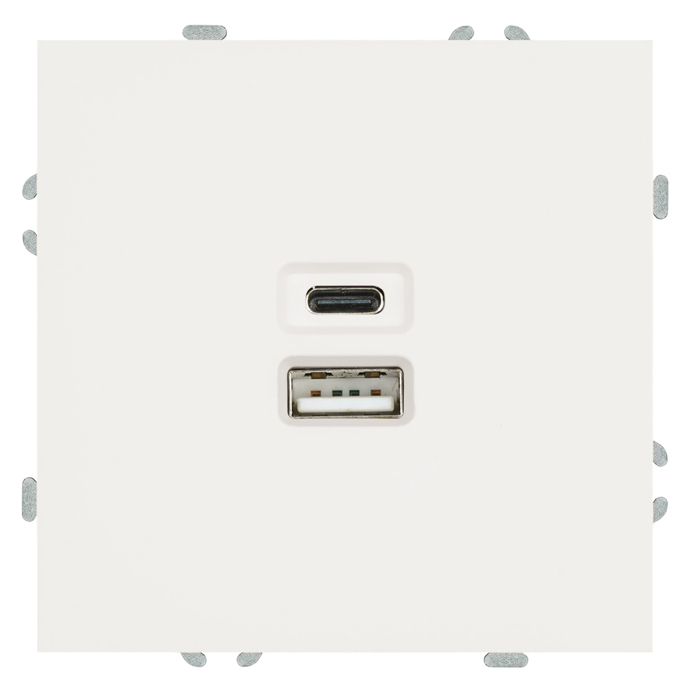 Розетка 2-местная USB + Type C (механизм) 250В, 20W, серия Эмили, RST10-5115-01, белый фарфор, soft touch