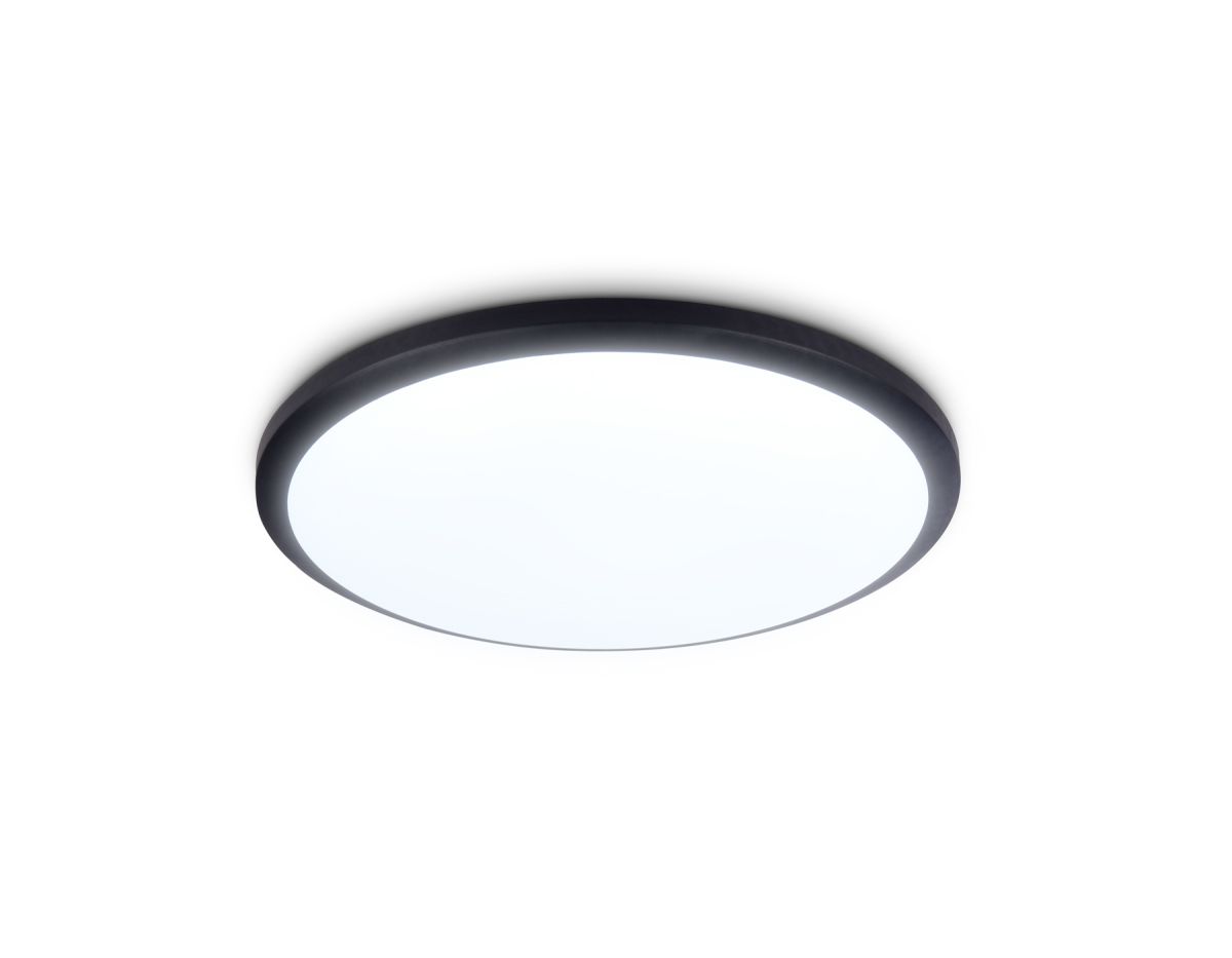 Потолочный светодиодный светильник FZ1233 BK черный IP44 22W 6400К D260*55 (Без ПДУ)