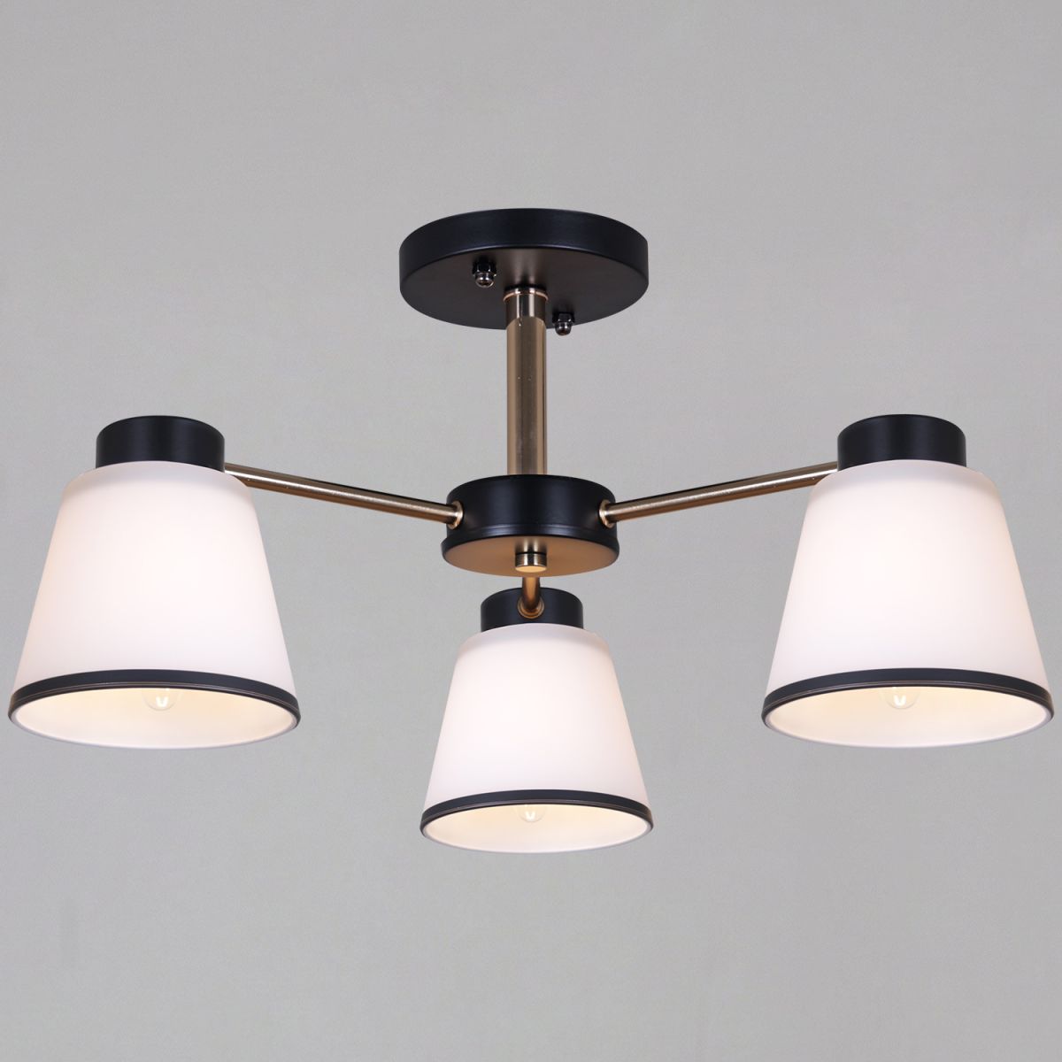 30560-0.3-03 BK+FG светильник потолочный