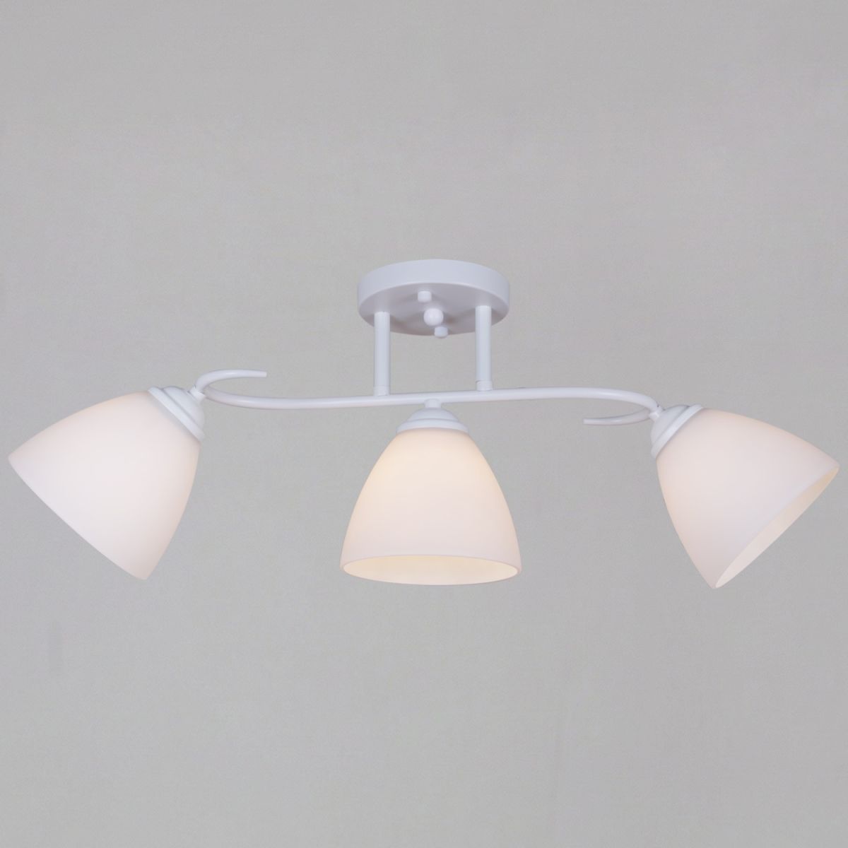 44560-0.3-03 WH светильник потолочный