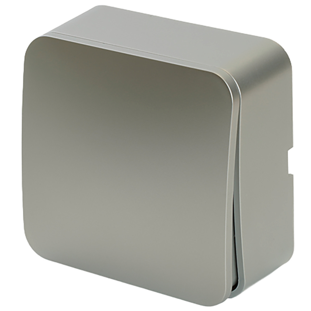 Выключатель открытой установки 1-клавишный, 250В, 10А, IP20, серия София, серебро, MSW10-10-03