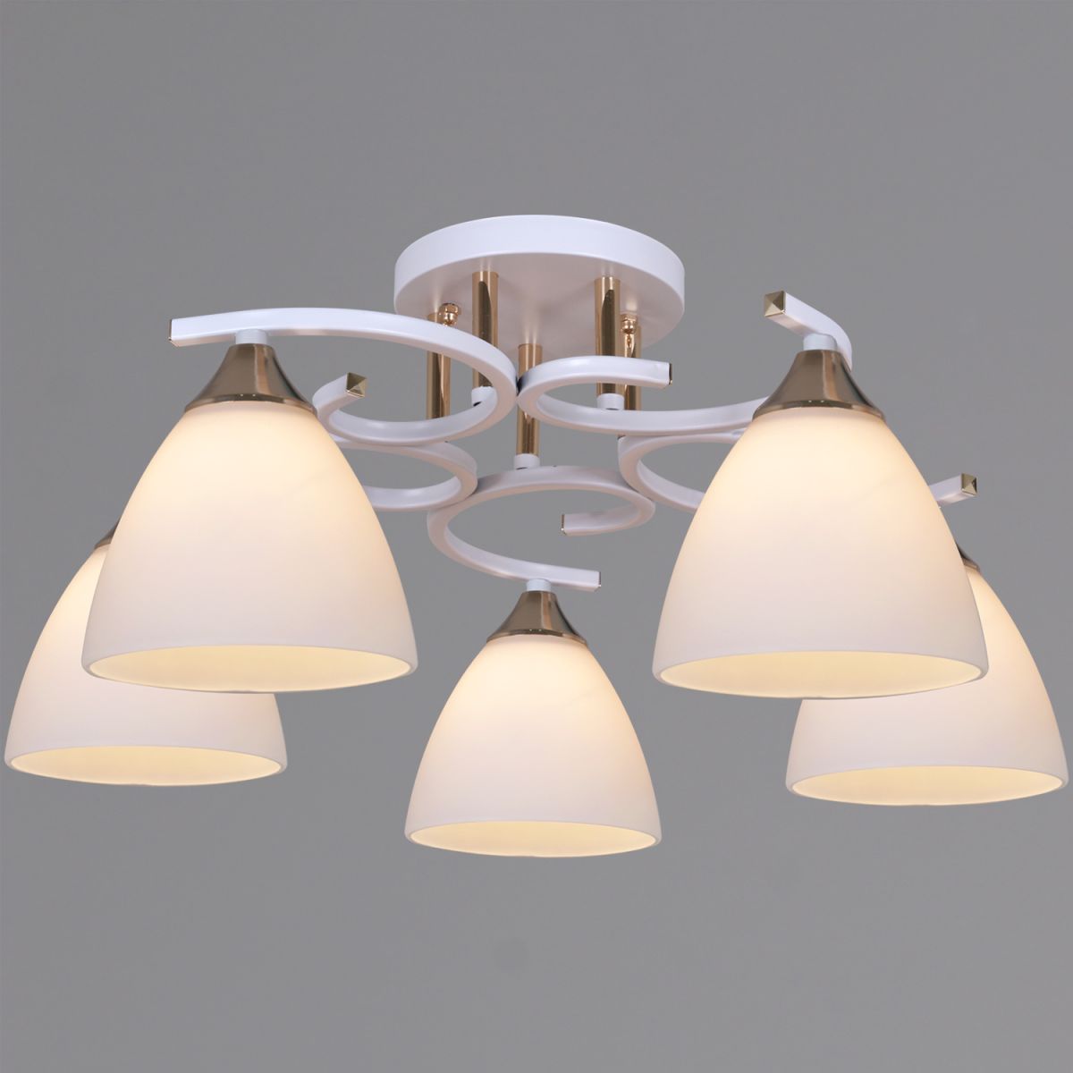 05009-0.3-05 "L" светильник потолочный