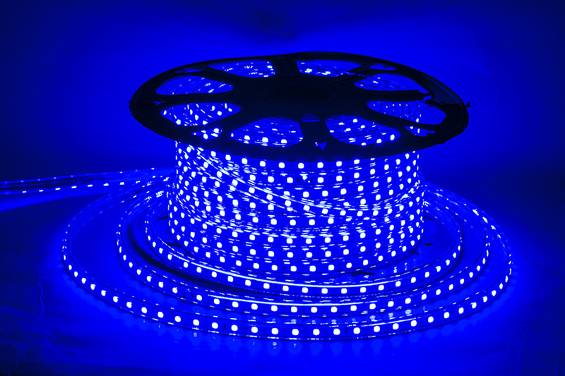 5050-60-220V BL светодиодная лента 60LED/м, 220V