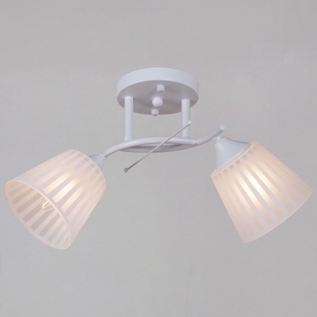 82460-0.3-02 WH светильник потолочный