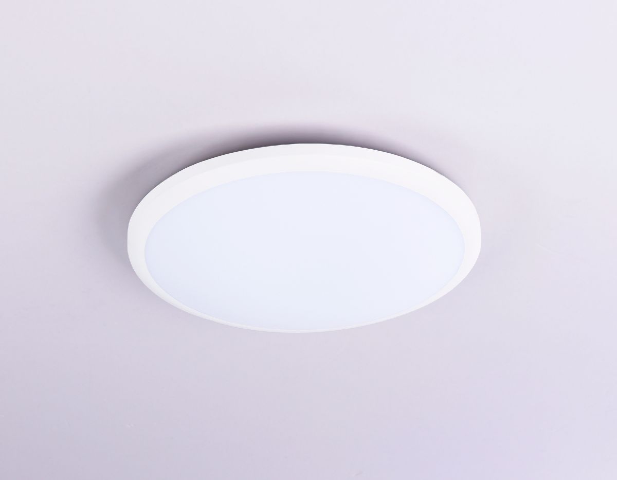 Потолочный светодиодный светильник FZ1230 WH белый IP44 22W 6400К D260*55 (Без ПДУ)