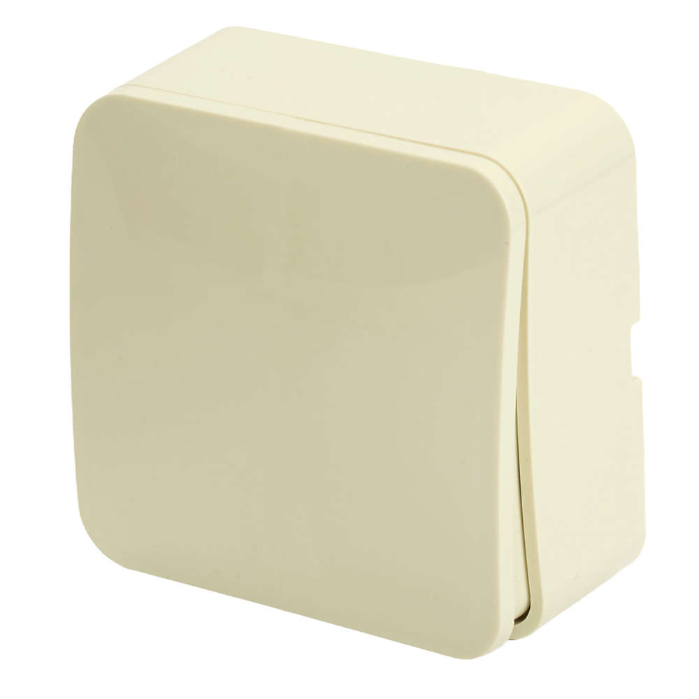 Выключатель открытой установки 1-клавишный, 250В, 10А, IP20, серия София, слоновая кость, MSW10-10-0