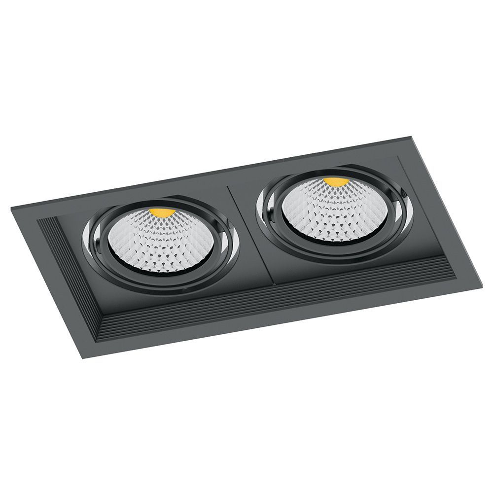 Светильник карданный светодиодный 2x12W 2160 Lm, 4000К, 35 градусов, черный, AL202 с драйвером и кле