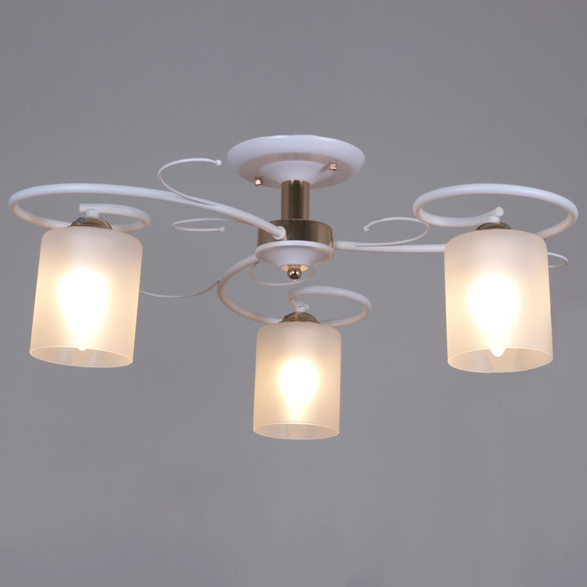 00738-0.3-03 светильник потолочный