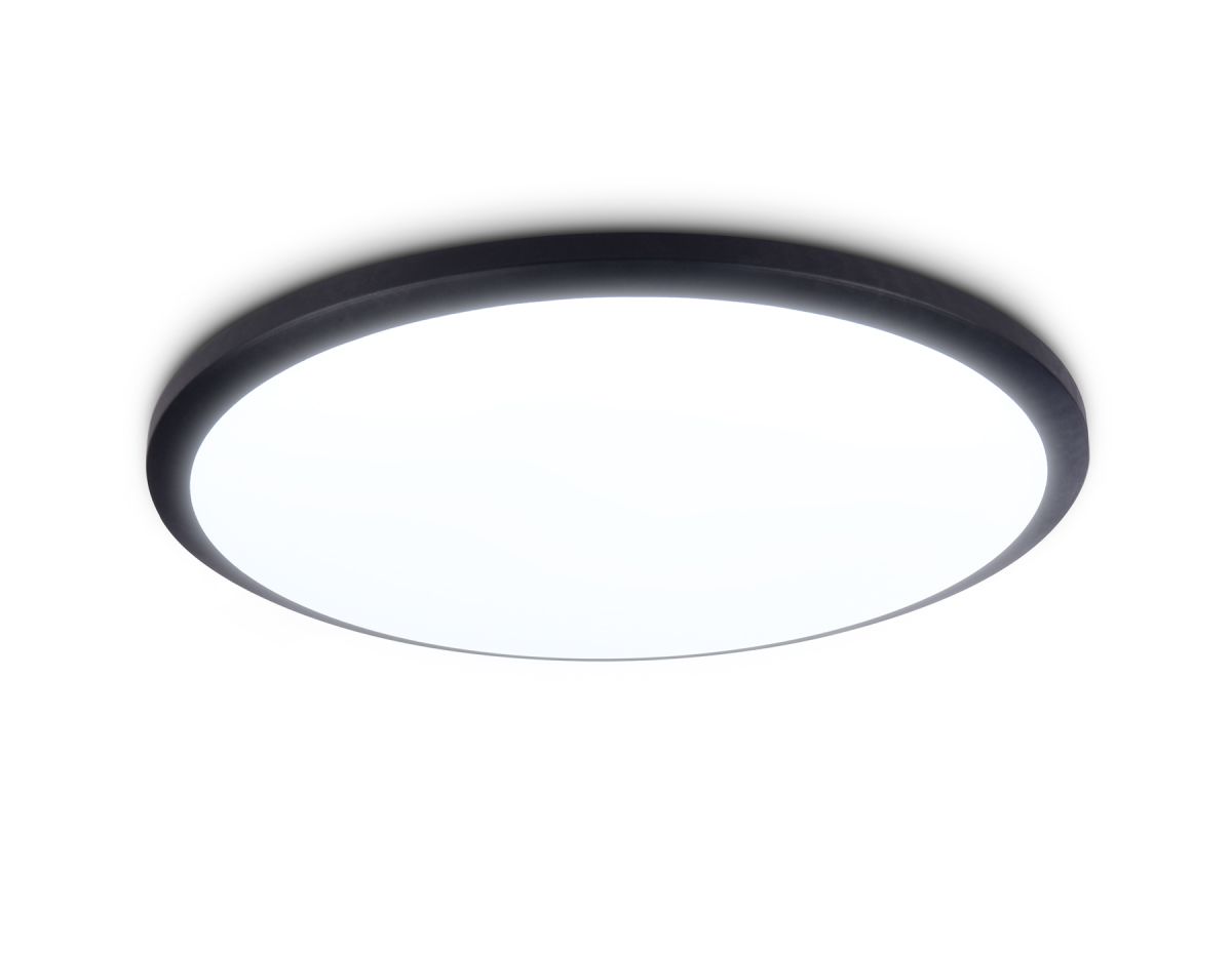 Потолочный светодиодный светильник FZ1234 BK черный IP44 42W 6400К D370*55 (Без ПДУ)