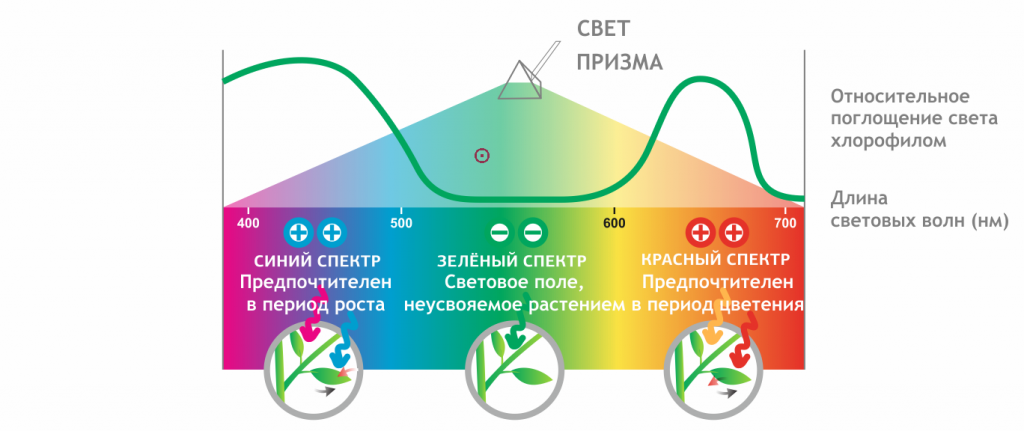 d4034b0201586e28df75b9b15711a805.png